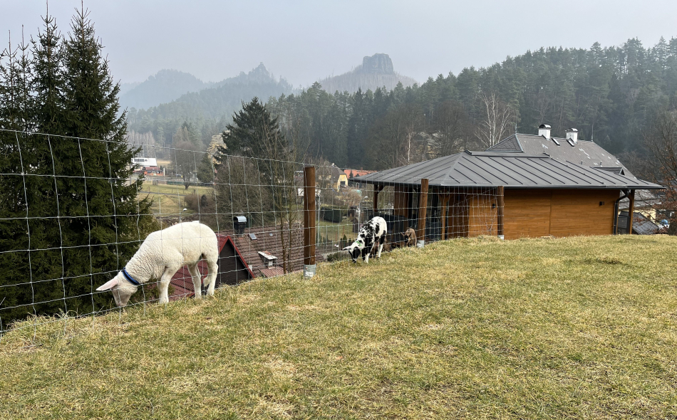  Our little farm
