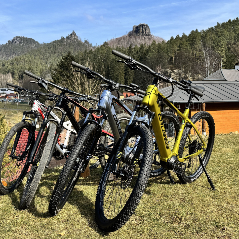  Electric bike rental